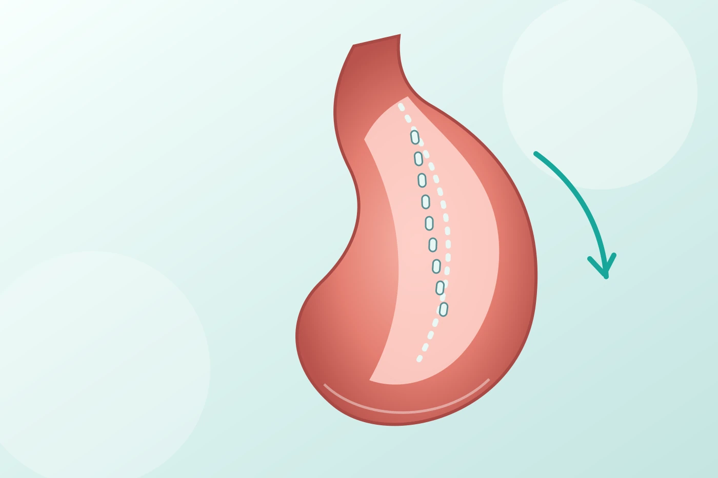 Gastric sleeve patient reviewing month-by-month weight loss progress, nutrition, plateaus and long-term recovery with a bariatric specialist.